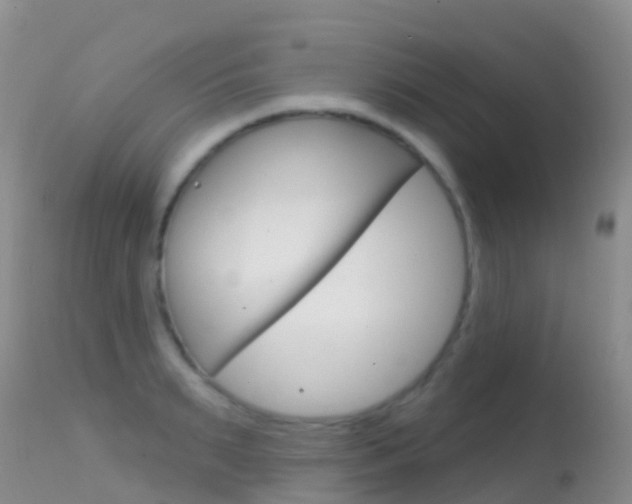 X0000114690895200910211051