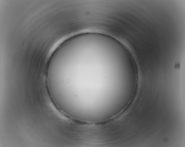 X0000114690896200910211051
