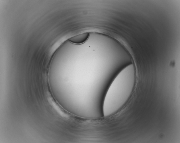 X0000114690898200910211051