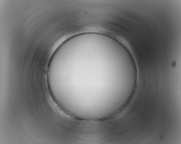 X0000114690899200910211051