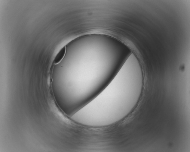 X0000114690900200910211051