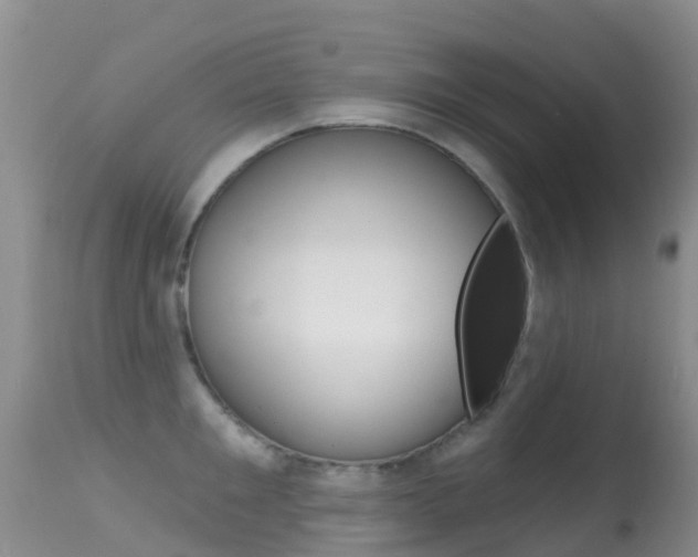 X0000114690901200910211051