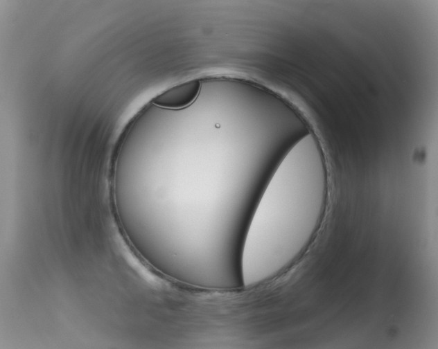 X0000114690902200910211051