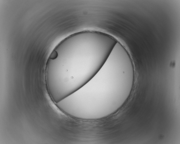 X0000114690903200910211051