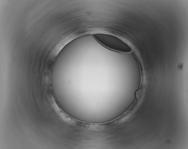 X0000114690905200910211051