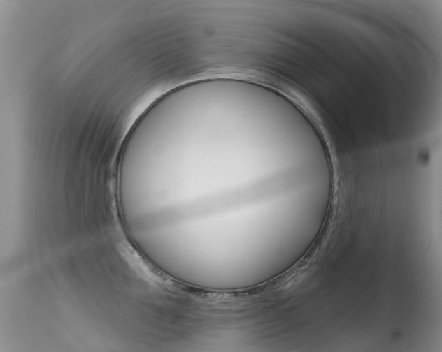 X0000114690907200910211051