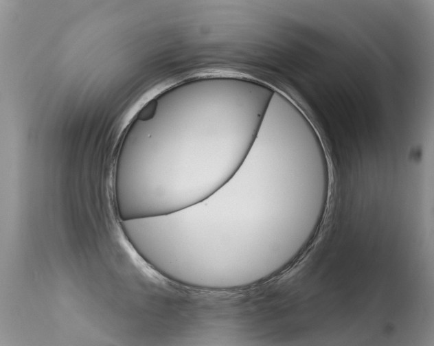 X0000114690909200910211051