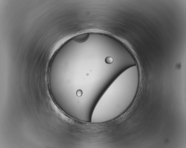 X0000114690910200910211051