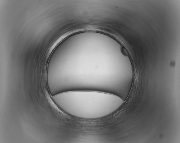 X0000114690911200910211051