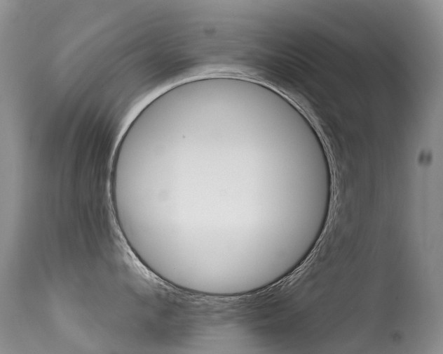X0000114690912200910211051
