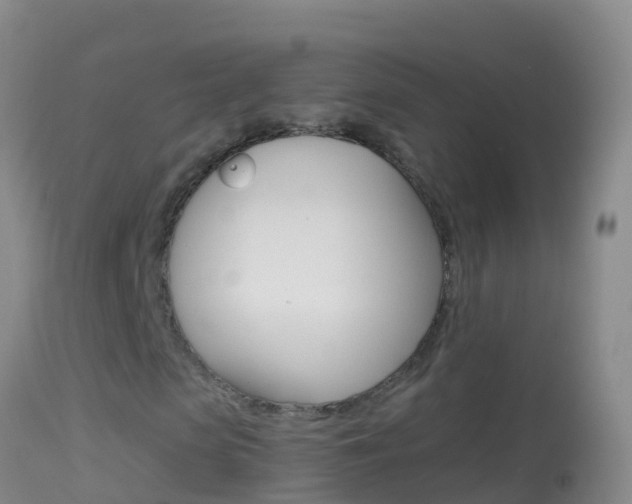 X0000114690913200910211051