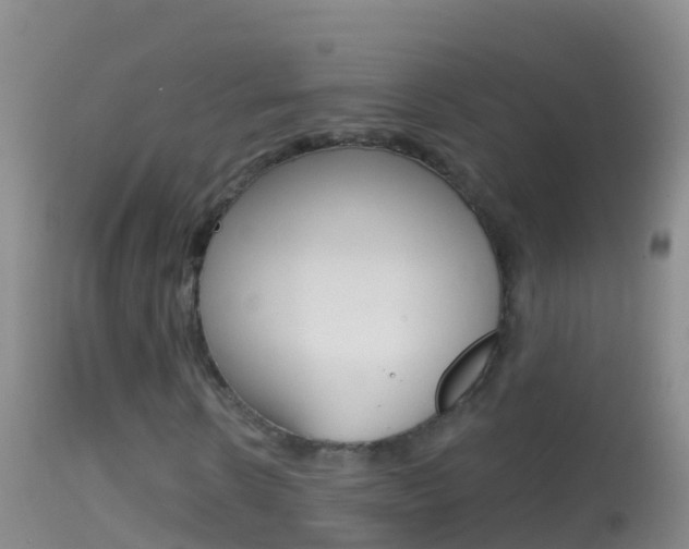 X0000114690914200910211051