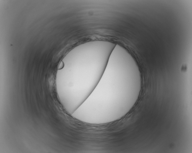 X0000114690915200910211051