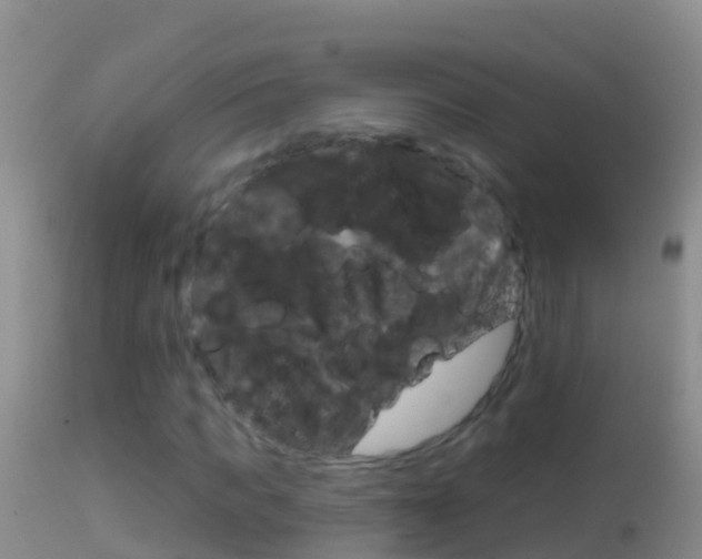 X0000114690917200910211051
