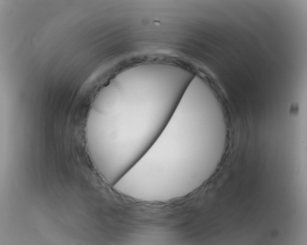 X0000114690919200910211051