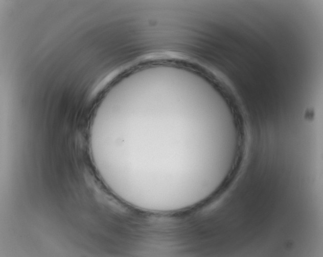 X0000114690921200910211051