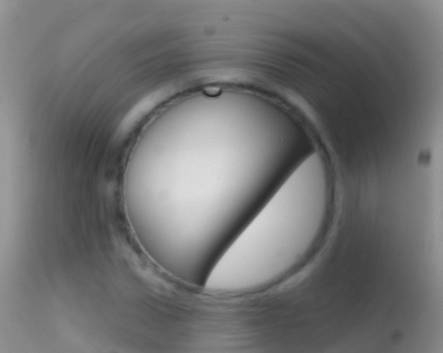 X0000114690922200910211051