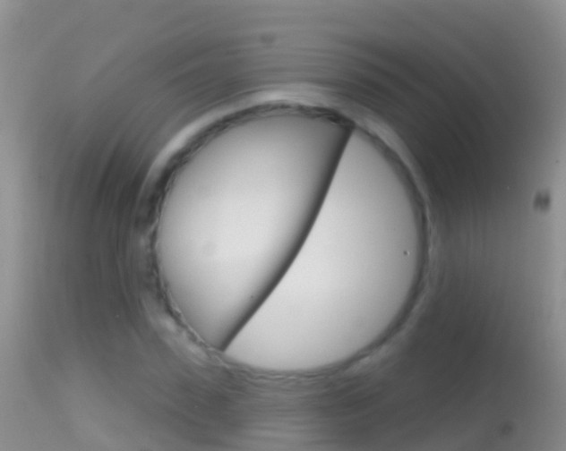 X0000114690923200910211051