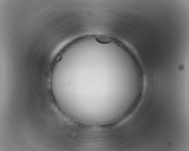X0000114690925200910211051
