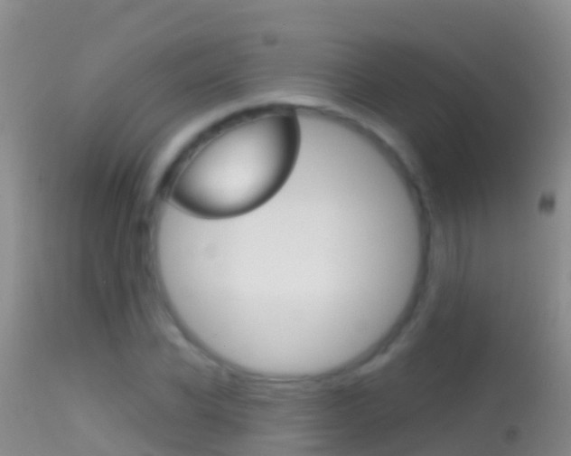 X0000114690926200910211051