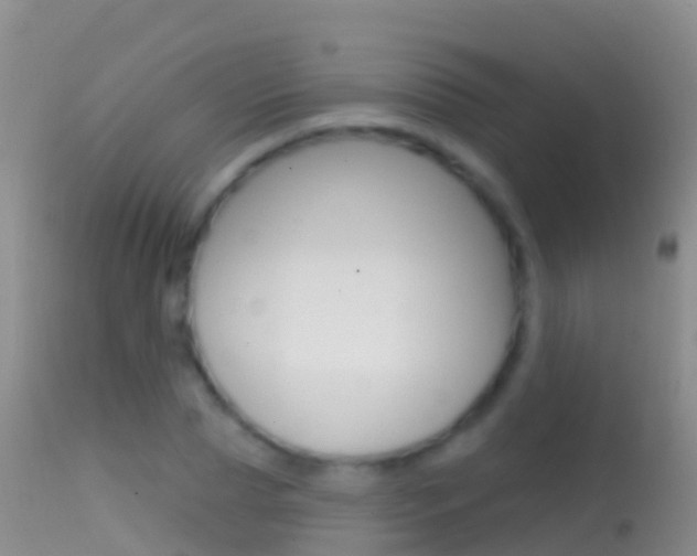X0000114690929200910211051