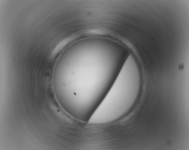 X0000114690930200910211051