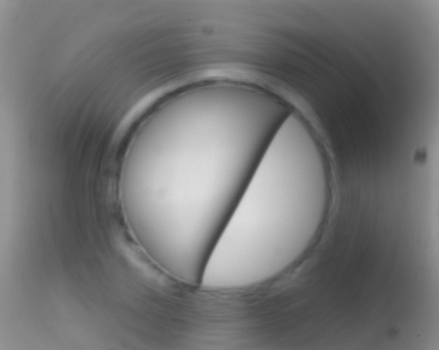 X0000114690931200910211051