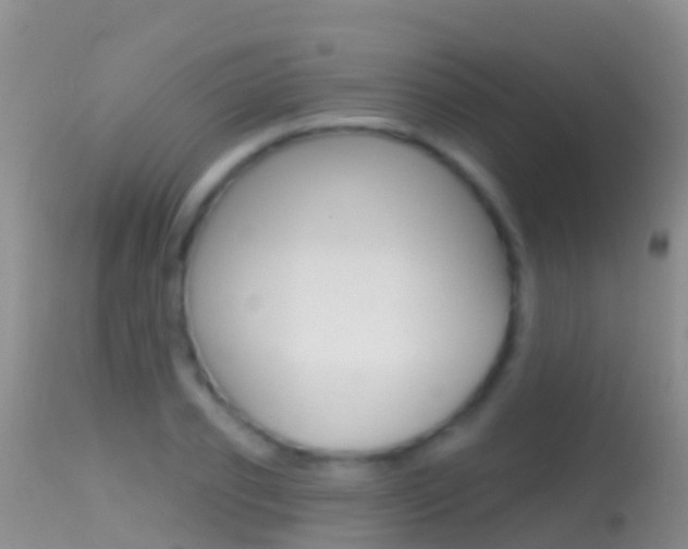 X0000114690933200910211051