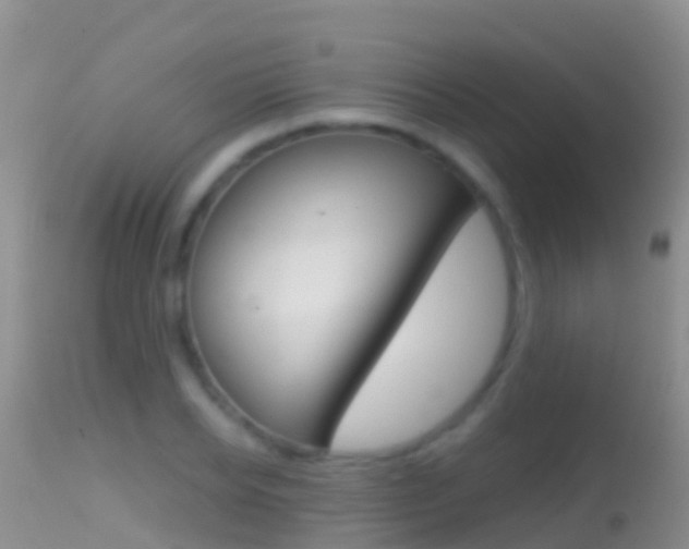 X0000114690934200910211051