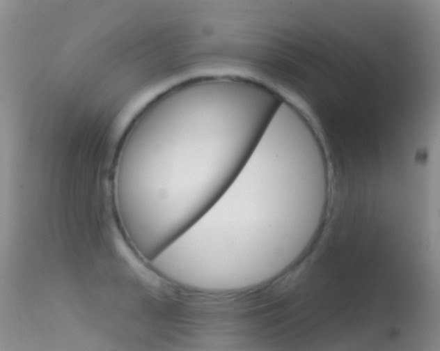X0000114690943200910211051