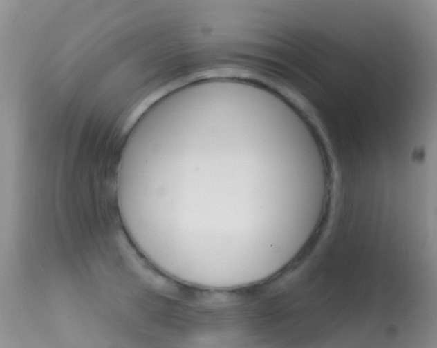 X0000114690945200910211051