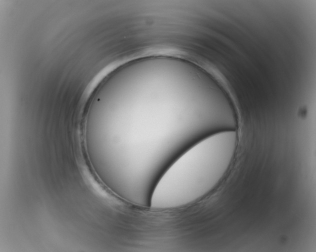 X0000114690947200910211051