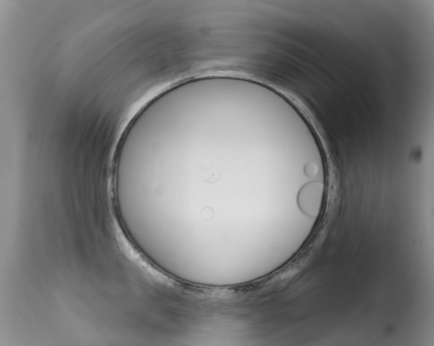 X0000114690957200910211051