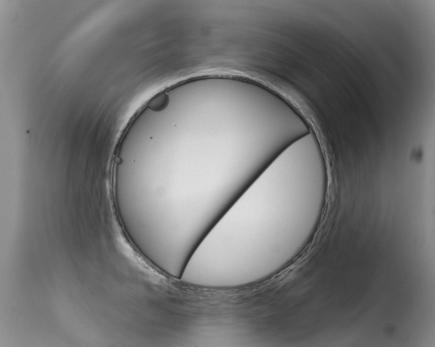 X0000114690958200910211051