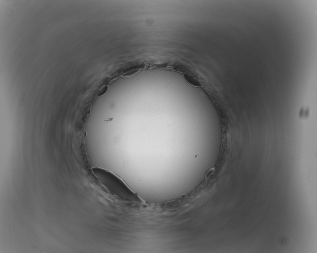 X0000114690961200910211051