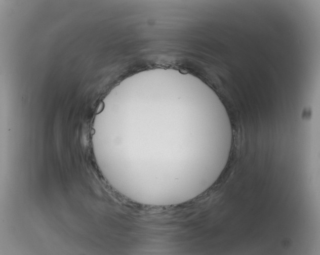X0000114690962200910211051