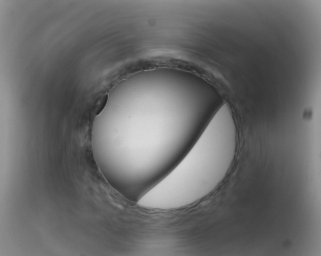 X0000114690965200910211050