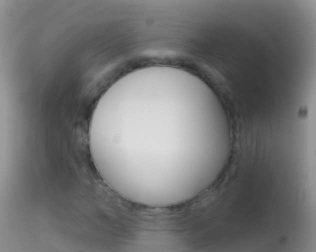 X0000114690966200910211050