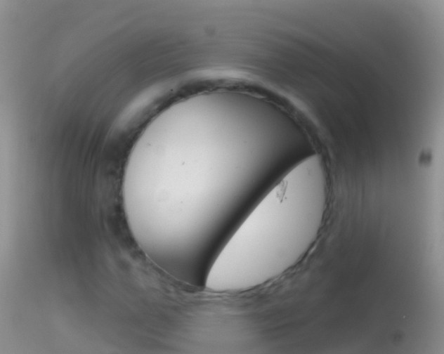 X0000114690967200910211050