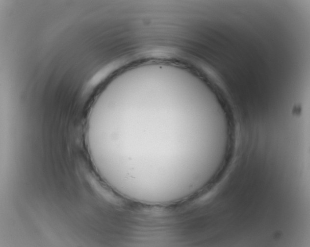 X0000114690970200910211050