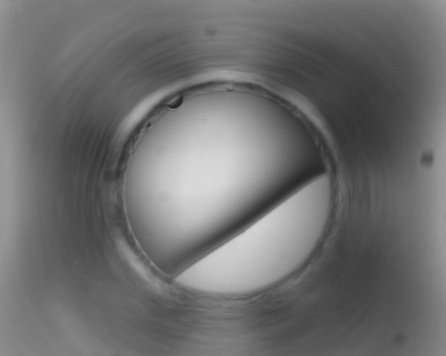 X0000114690972200910211050