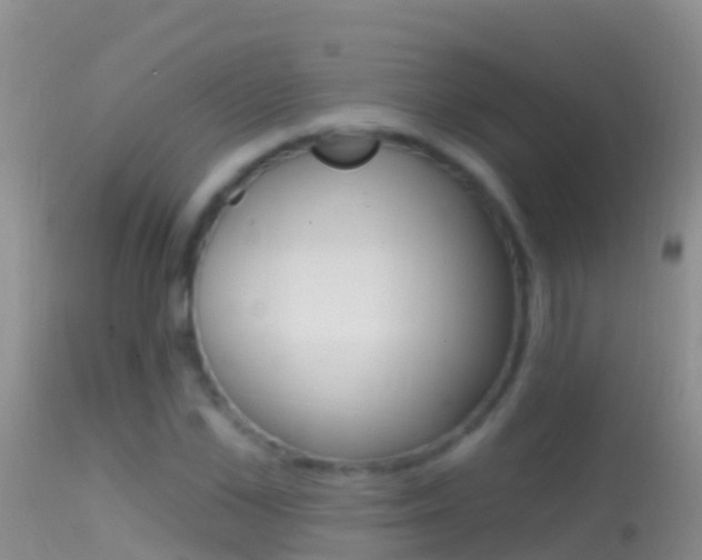 X0000114690973200910211050
