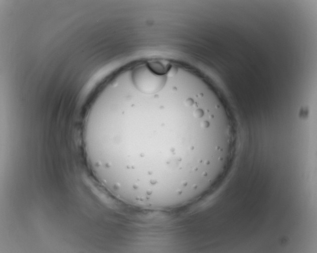 X0000114690974200910211050