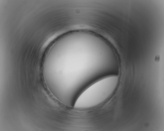 X0000114690975200910211050