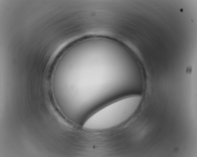 X0000114690976200910211050