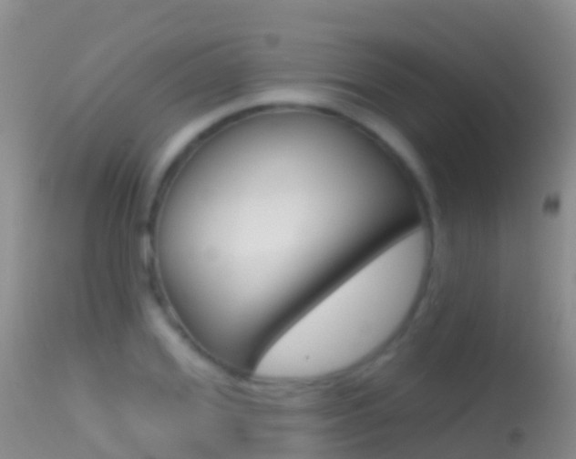 X0000114690980200910211050