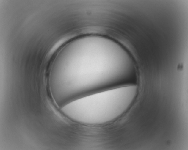 X0000114690983200910211050