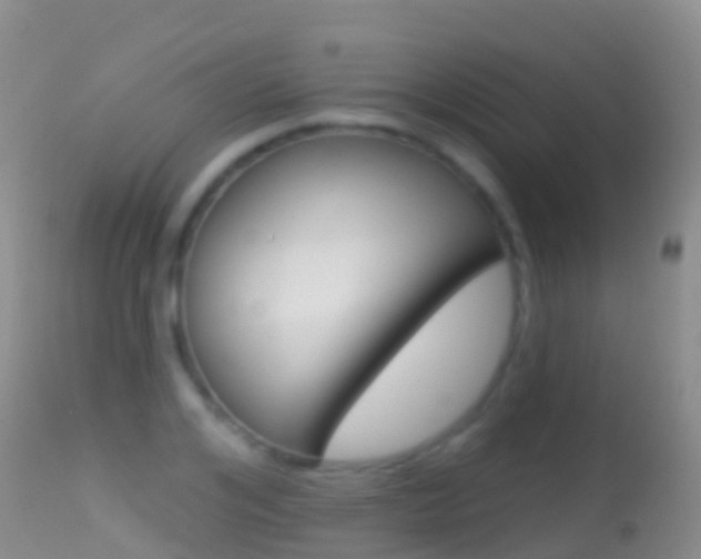 X0000114690984200910211050