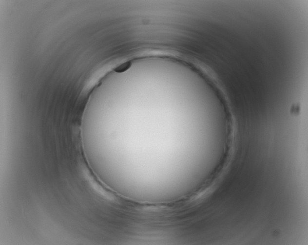 X0000114690985200910211050