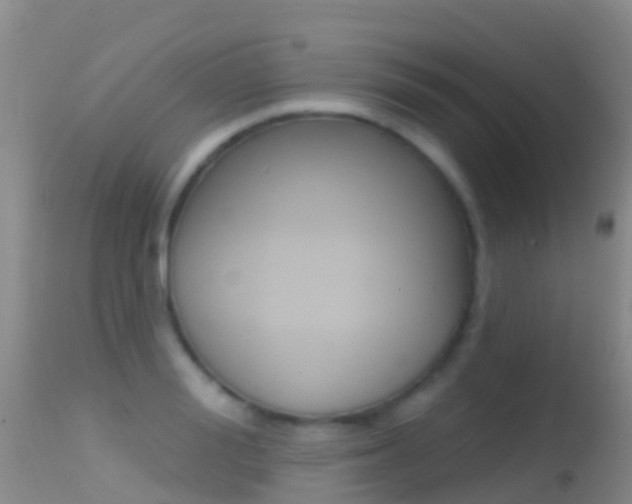 X0000114690988200910211050